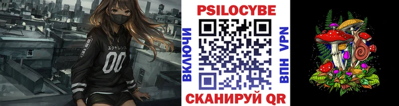 Псилоцибиновые грибы GOLDEN TEACHER  Купить  Скопин 
